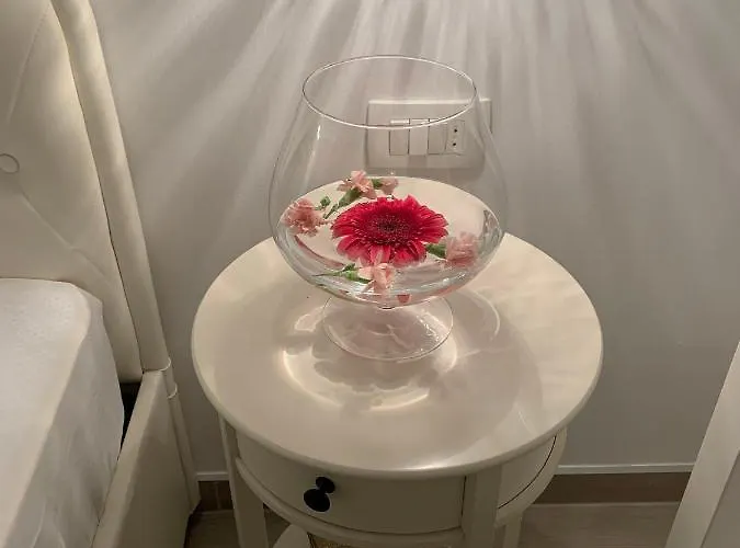 Onavi Μακάρσκα